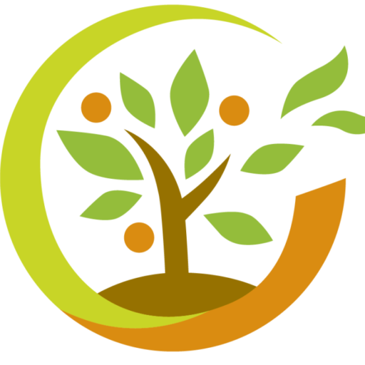 旅立ちと始まり