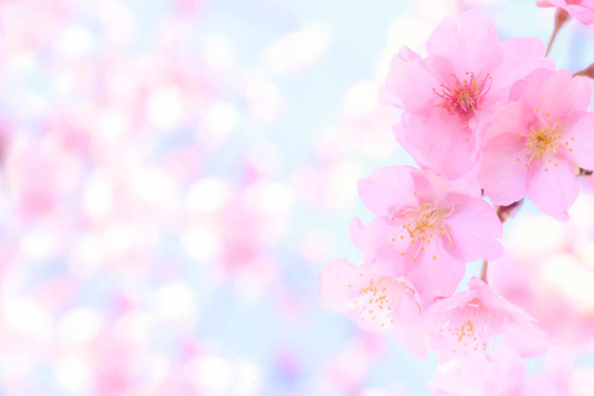 成績あがりました！