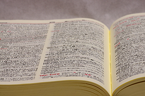 GWはイノセントのオンライン授業で決まり！！