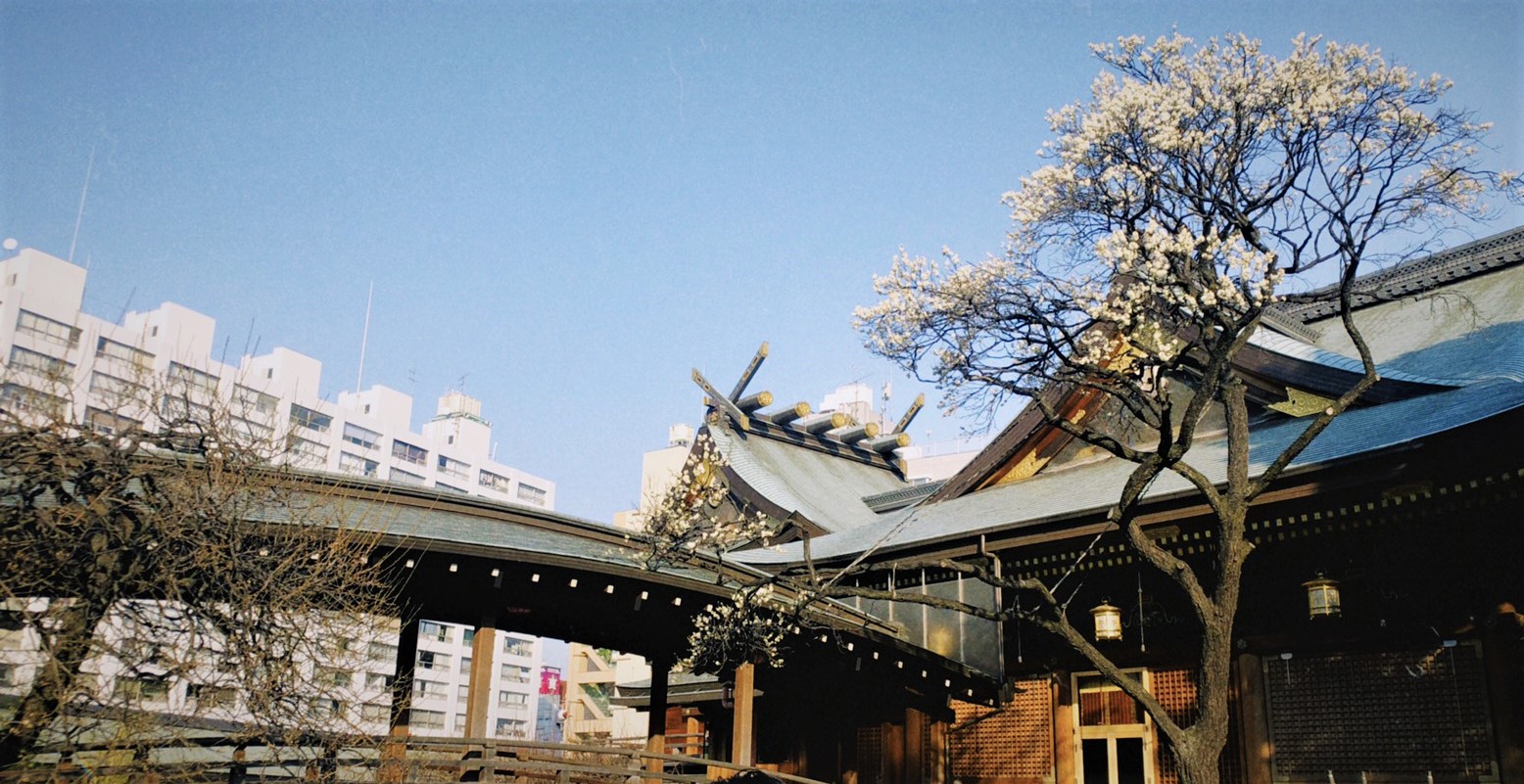 さあ～休みだからこそ確認せよ