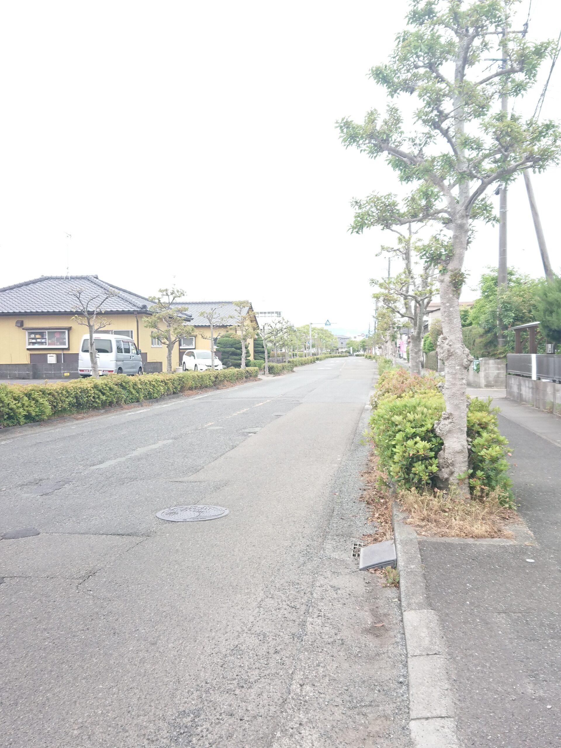 定期テストに向けて・・・どの塾を選ぶ？