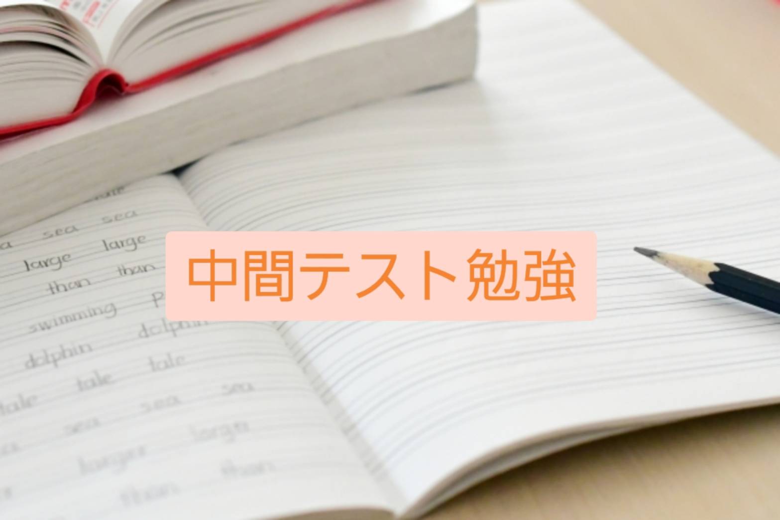 テスト対策会☆彡