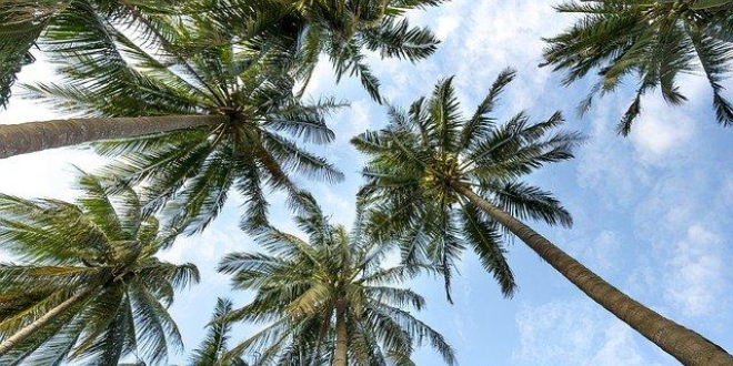 夏期に向けて✨