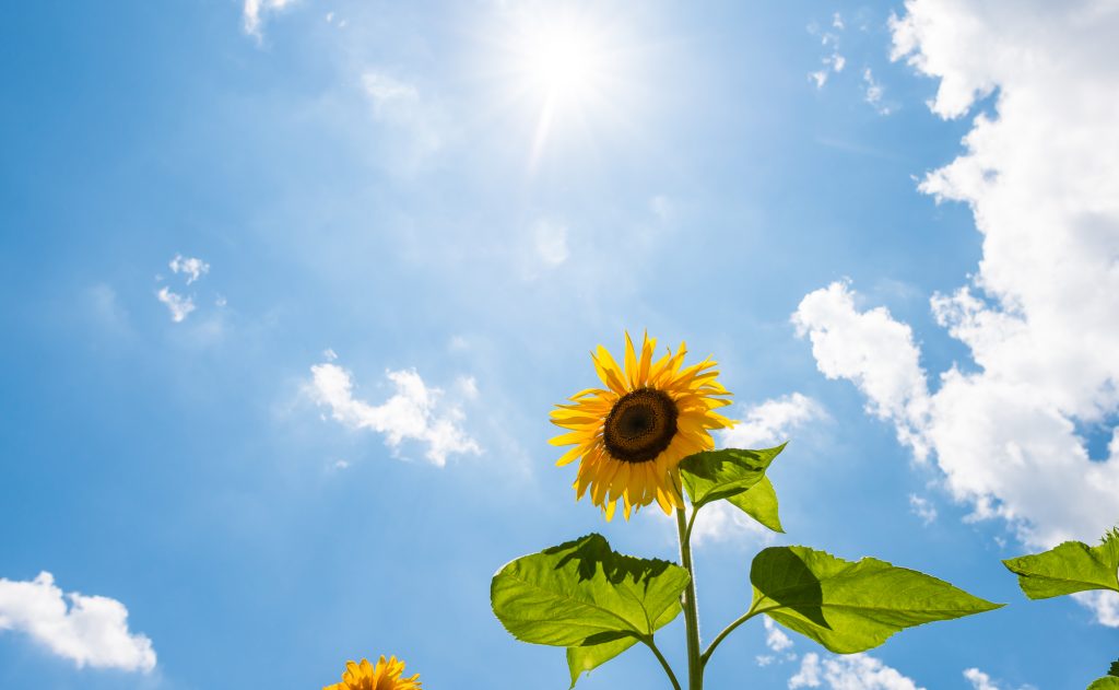 今年はどんな夏にする？楠教室の夏期講習！