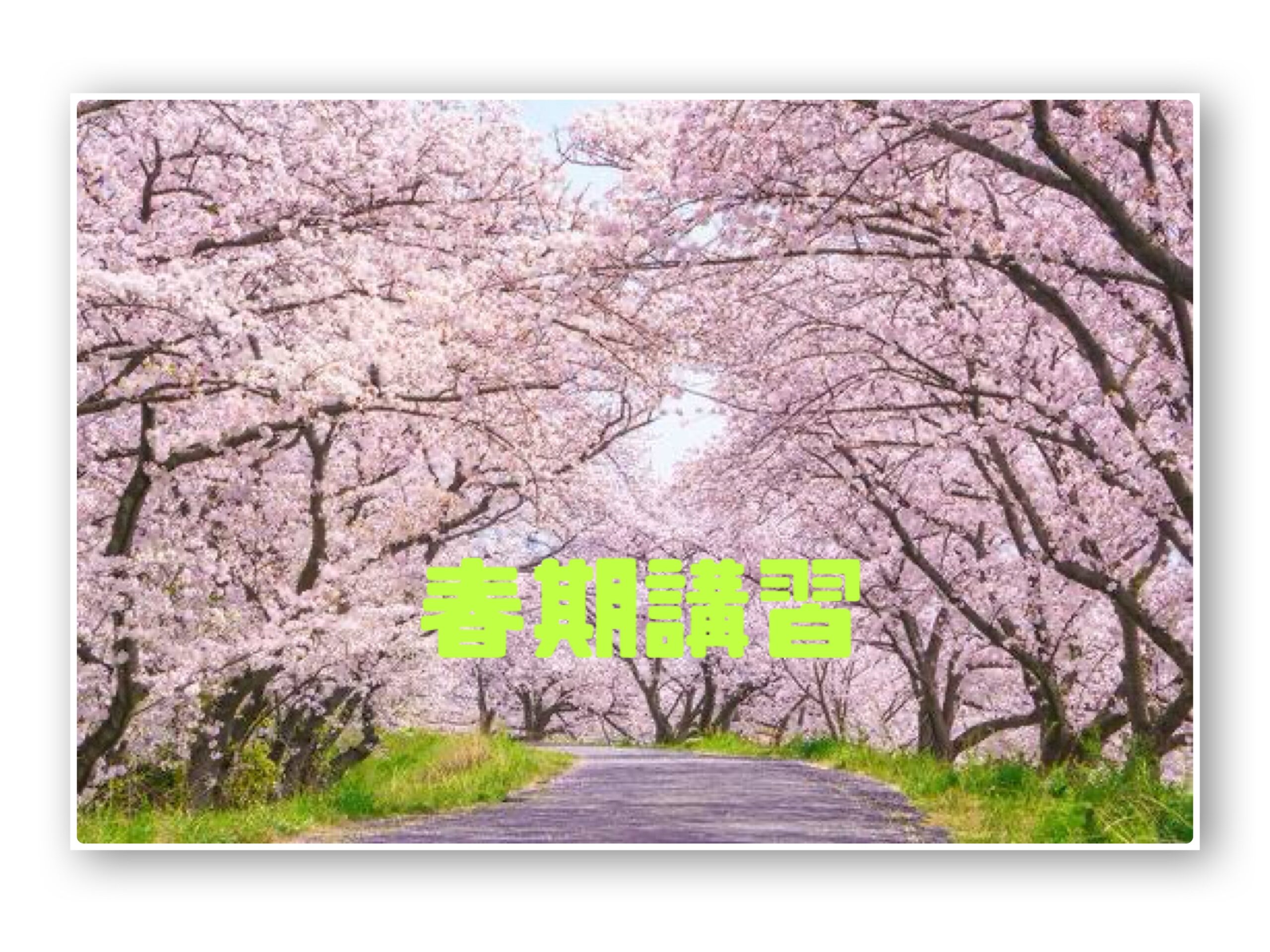 春期講習始まりますよ❗