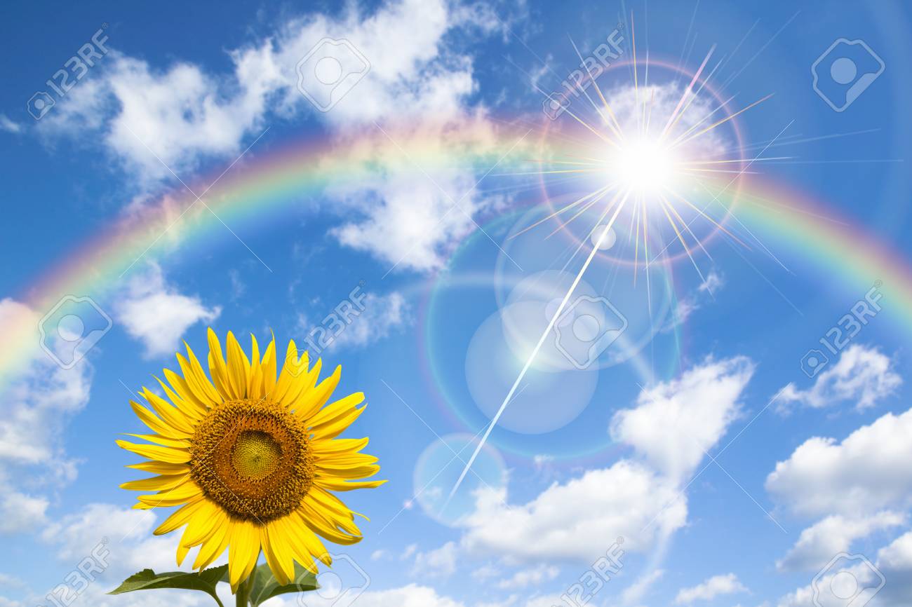 「本気の夏！！イノセントの夏期講習の過ごし方