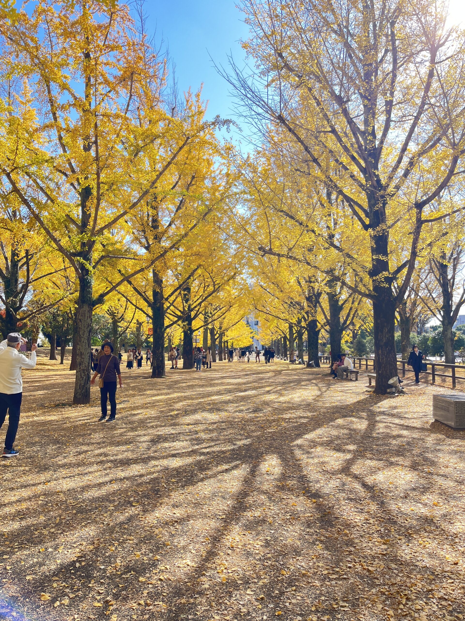 最近の八代教室の様子～10月編～