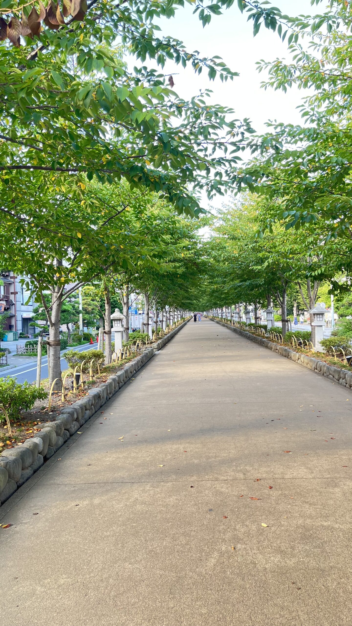 🌸合格速報 〜嬉しいご報告〜🌸