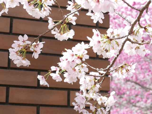 中3生全員第一志望合格しました！！