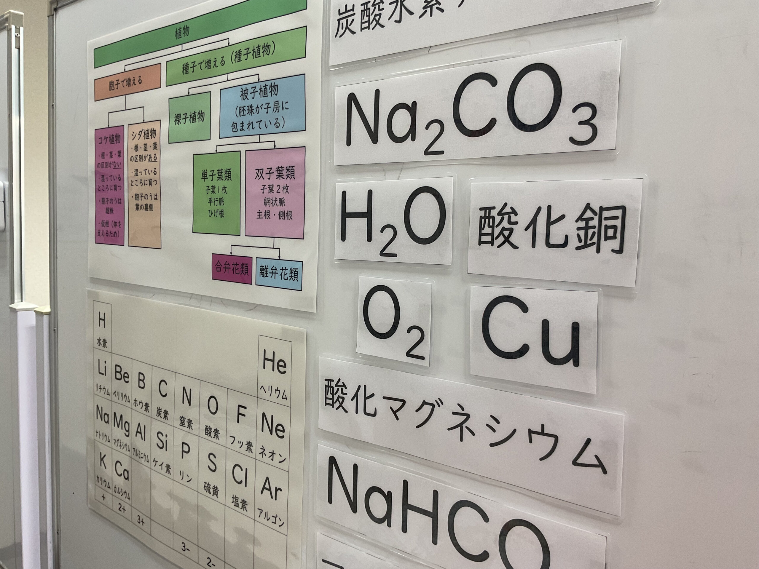 今年の夏休みで理科の総復習を！🌞