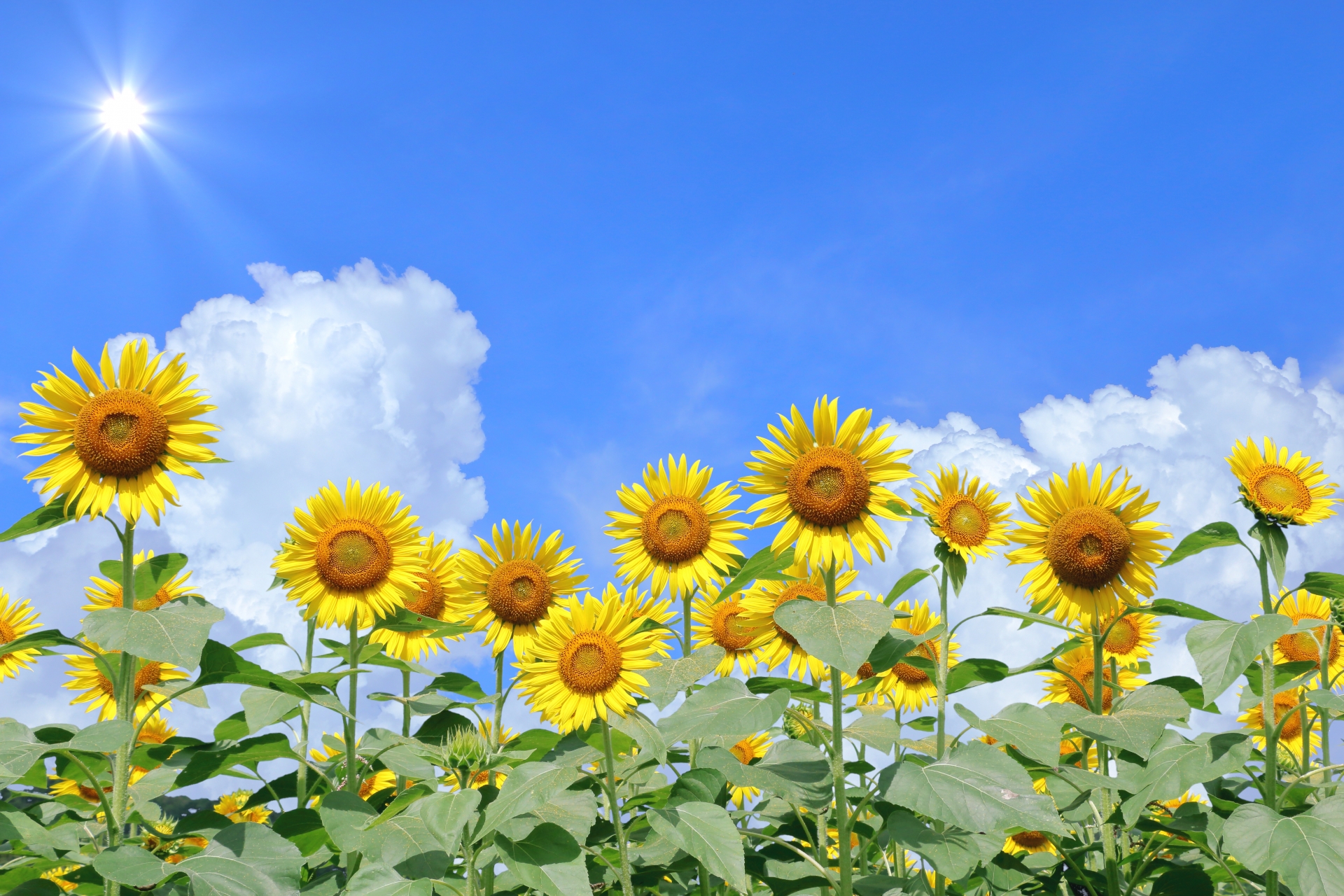 祝！英検準２級合格!!!