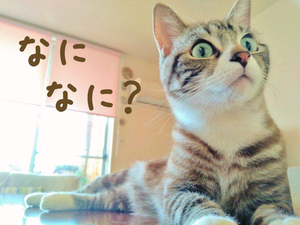 Ｓ君すげぇ～！